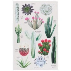 Danica Brands Now Designs By Danica 18" X 28" Printed Dishtowel | Botanical Cacti