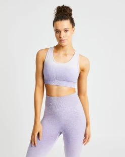 AYBL Pulse Ombré Seamless Sports Bra - Lilac