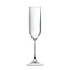 Fortessa OutSide™ 5oz Copolyester Champagne Flute