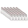 Bormioli Rocco 4.25oz Swing Top Glass Bottles | 60-pack