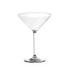 TarHong Acrylic Cocktail 8oz Martini Glass