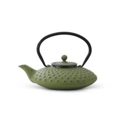 Bredemeijer 27oz Xilin Cast Iron Tea Pot | Green