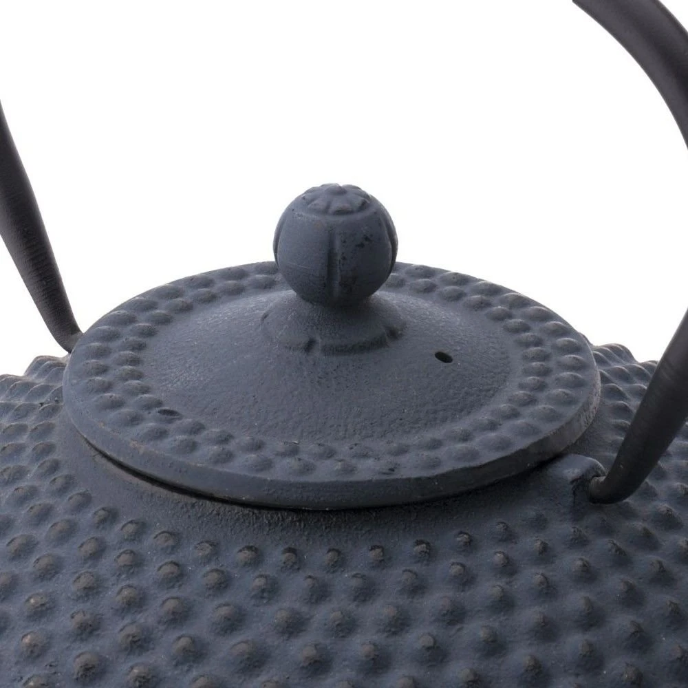 Bredemeijer 42oz Xilin Cast Iron Tea Pot | Blue - Image 2