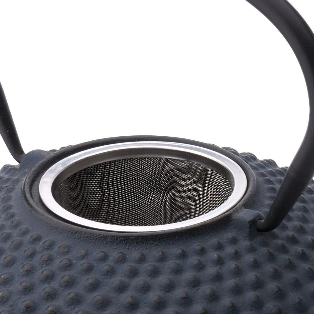 Bredemeijer 42oz Xilin Cast Iron Tea Pot | Blue - Image 3