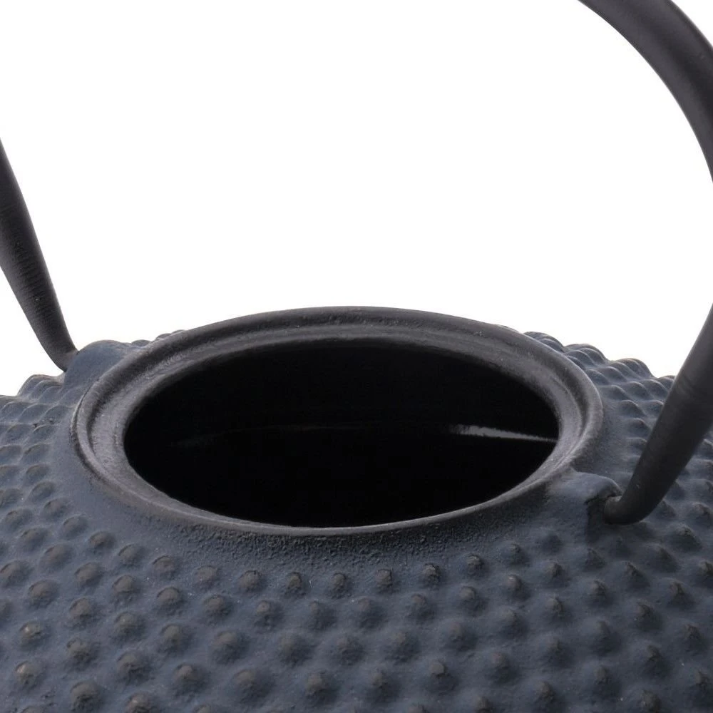 Bredemeijer 42oz Xilin Cast Iron Tea Pot | Blue - Image 4