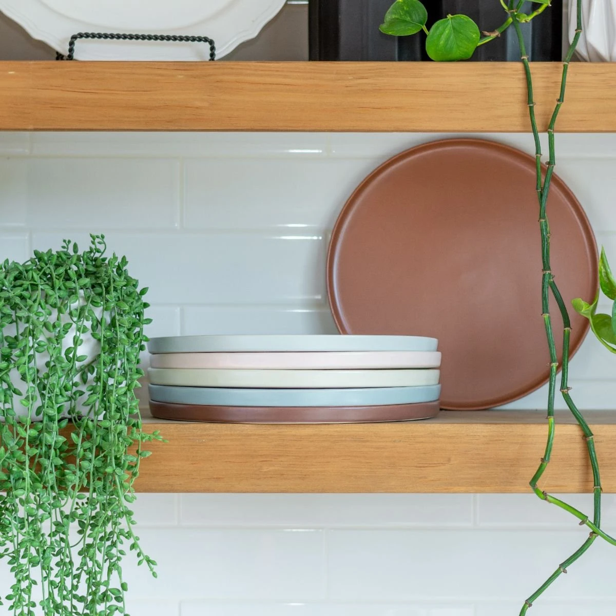 Everything Kitchens Modern Flat Dinnerware Collection - Image 8