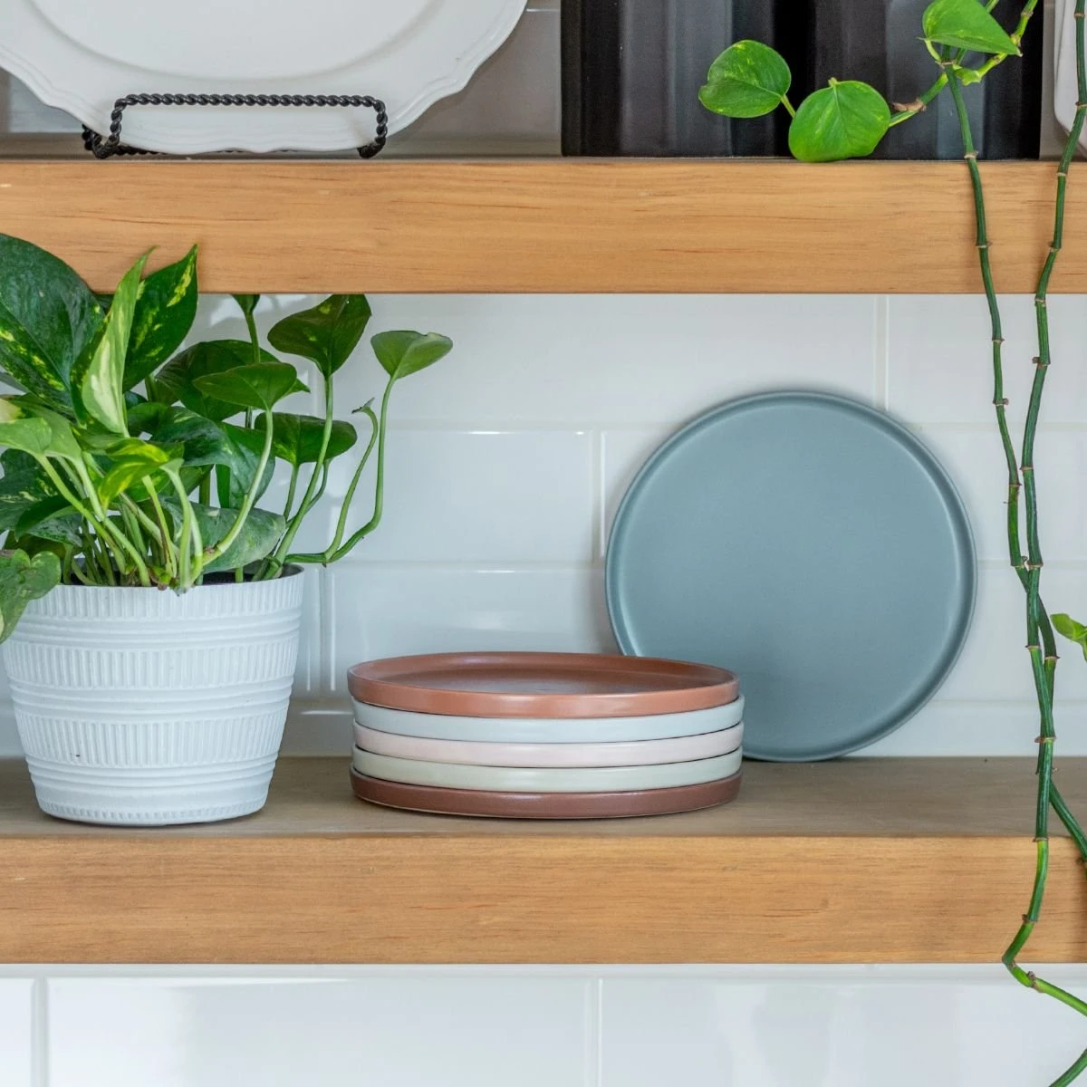 Everything Kitchens Modern Flat Dinnerware Collection - Image 12