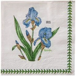 C.R Gibson (One Coast) C.R. Gibson Beverage Napkins (Set Of 20) | Spode Garden Florals