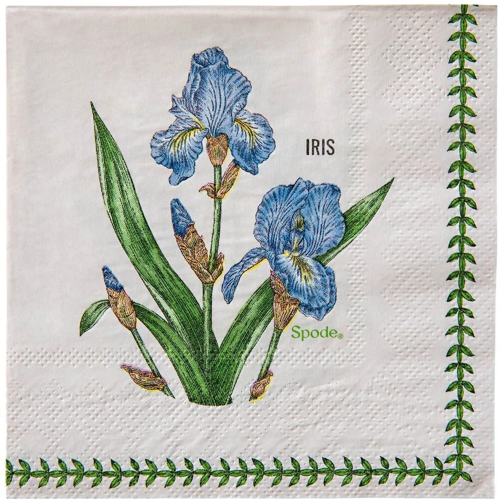 C.R Gibson (One Coast) C.R. Gibson Beverage Napkins (Set Of 20) | Spode Garden Florals