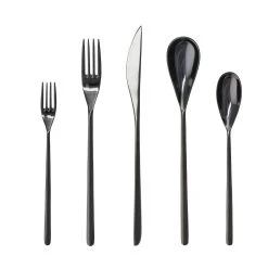 Fortessa Dragonfly 20pc Place Setting | Black